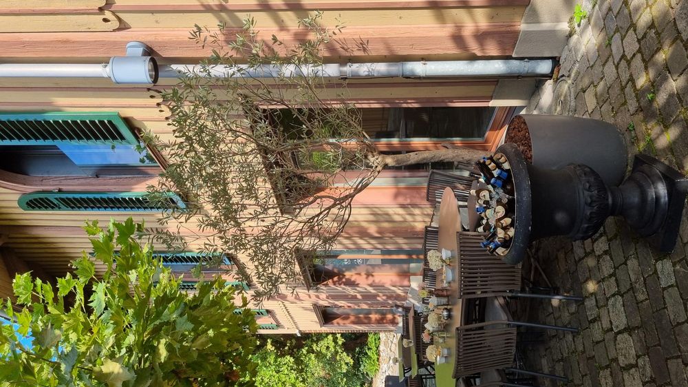 Apéro auf der Terrasse